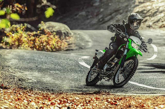 2021 Kawasaki KLX 300 at Ehlerding Motorsports