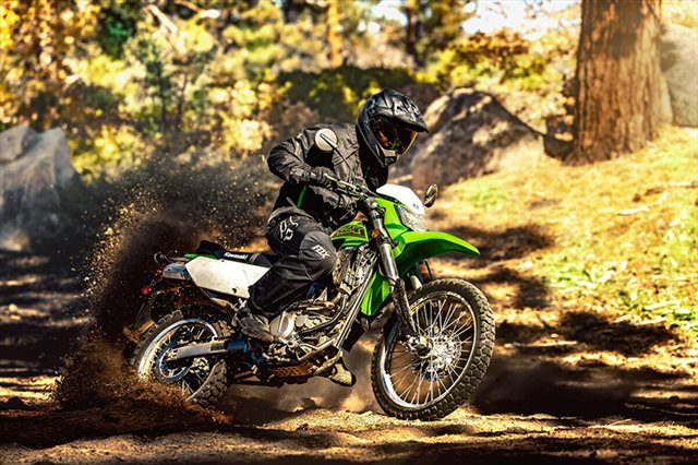 2021 Kawasaki KLX 300 at Ehlerding Motorsports