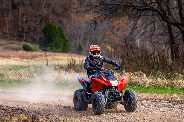 2024 Honda TRX 250X at Eastside Honda