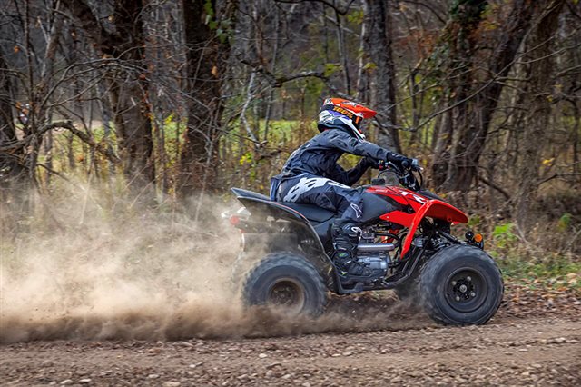 2024 Honda TRX 250X at Eastside Honda