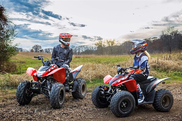 2024 Honda TRX 250X at Eastside Honda