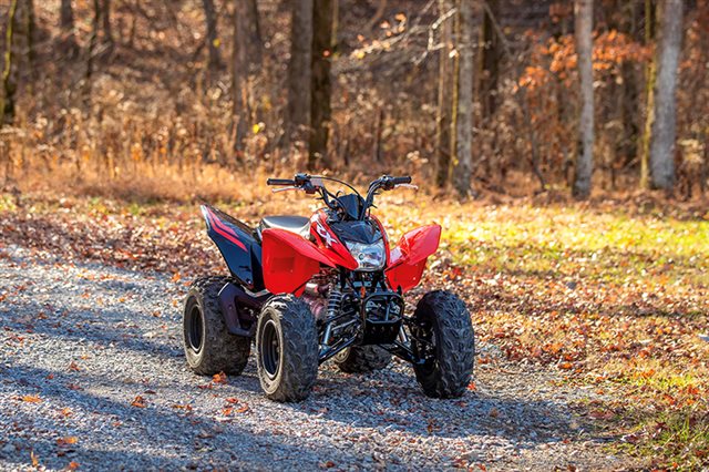 2024 Honda TRX 250X at Eastside Honda