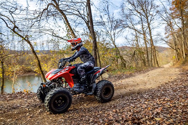 2024 Honda TRX 250X at Eastside Honda