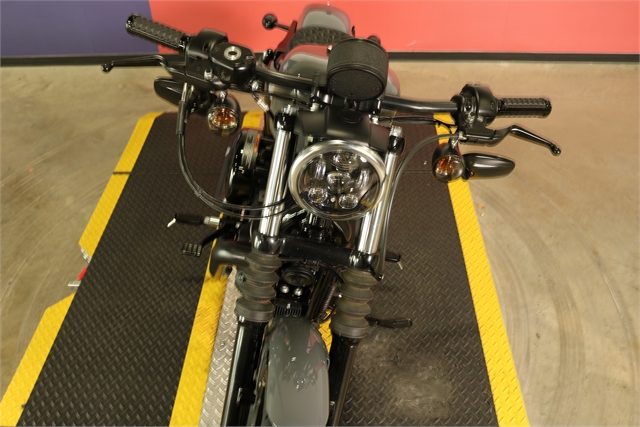 2022 Harley-Davidson Sportster Iron 883 at Texas Harley