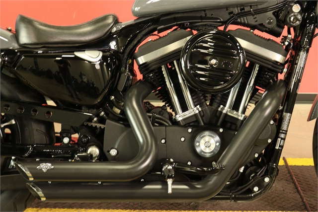 2022 Harley-Davidson Sportster Iron 883 at Texas Harley