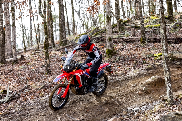 2023 Honda CRF300L RALLY ABS 300L Rally ABS at McKinney Outdoor Superstore