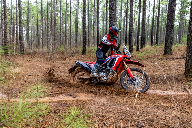 2023 Honda CRF300L RALLY ABS 300L Rally ABS at McKinney Outdoor Superstore