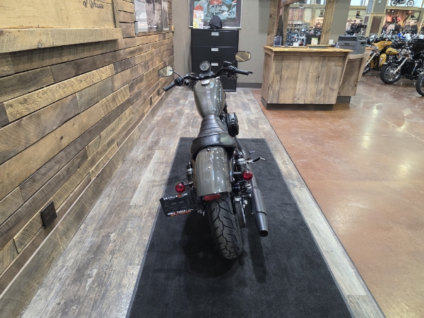 2019 Harley-Davidson Sportster Iron 883 at Bull Falls Harley-Davidson