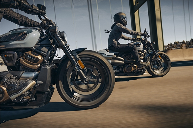 2024 Harley-Davidson Sportster at Texas Harley