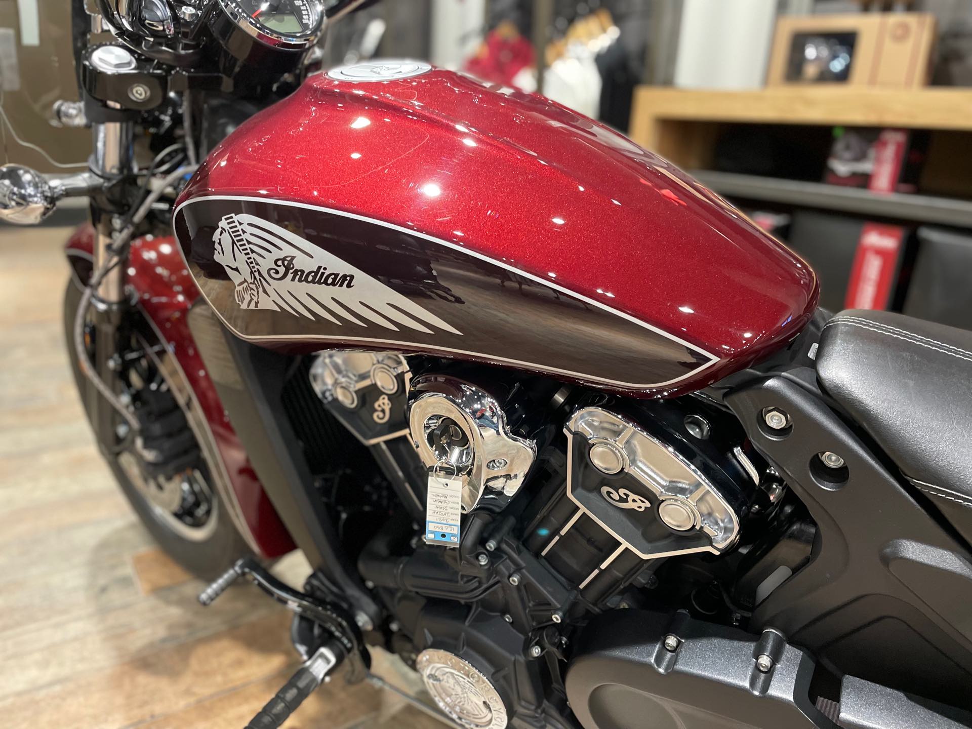 2021 Indian Scout Scout - ABS at Pitt Cycles