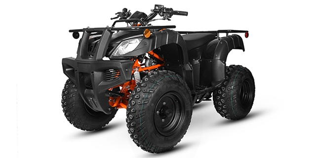 2025 Kayo Bull 150 at Wise Honda