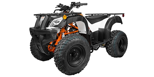 2025 Kayo Bull 150 at Wise Honda