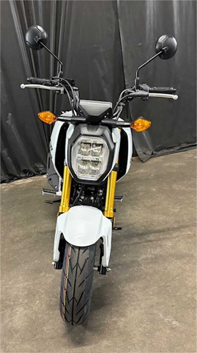 2025 Honda Grom ABS at Powersports St. Augustine