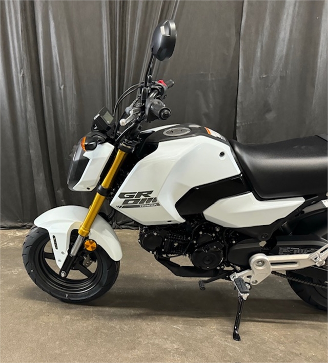 2025 Honda Grom ABS at Powersports St. Augustine