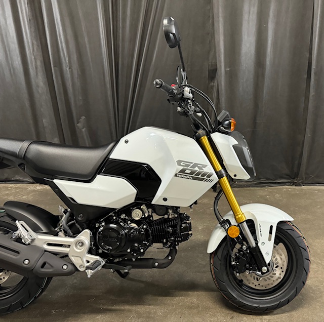 2025 Honda Grom ABS at Powersports St. Augustine