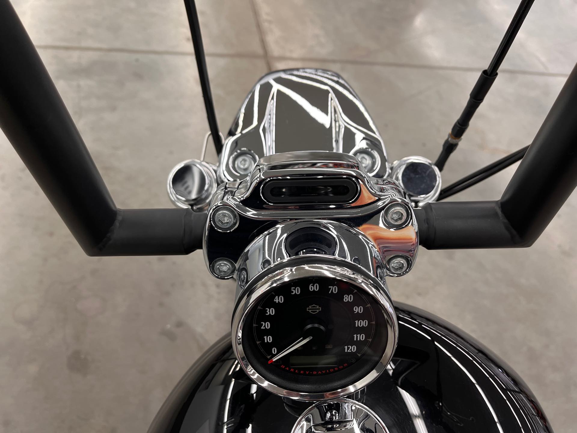 2017 Harley-Davidson Sportster 1200 Custom at Aces Motorcycles - Denver