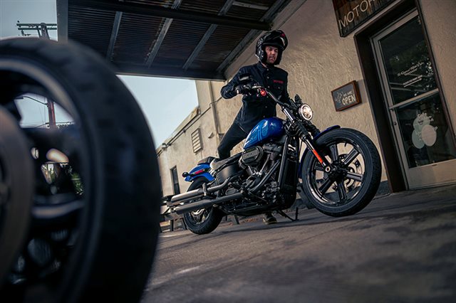 2024 Harley-Davidson Softail Street Bob 114 at San Jose Harley-Davidson
