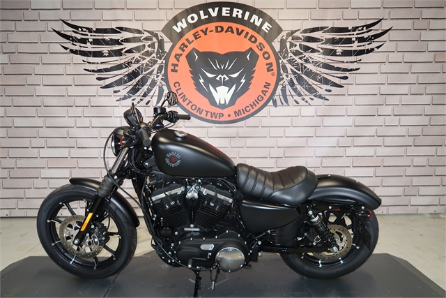 2021 Harley-Davidson Iron 883' Iron 883 at Wolverine Harley-Davidson