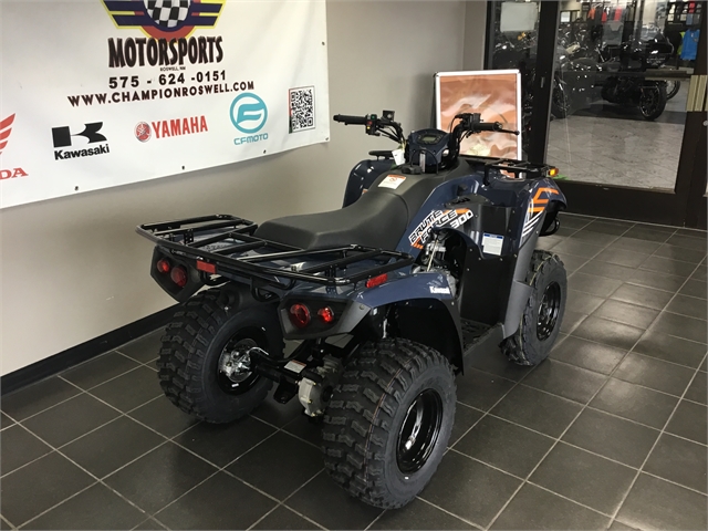 2024 Kawasaki Brute Force 300 at Champion Motorsports