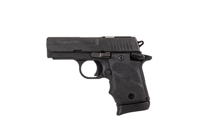 2022 Sig Sauer P938 at Harsh Outdoors, Eaton, CO 80615