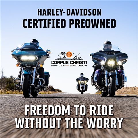 2007 Harley-Davidson Softail Standard at Corpus Christi Harley-Davidson