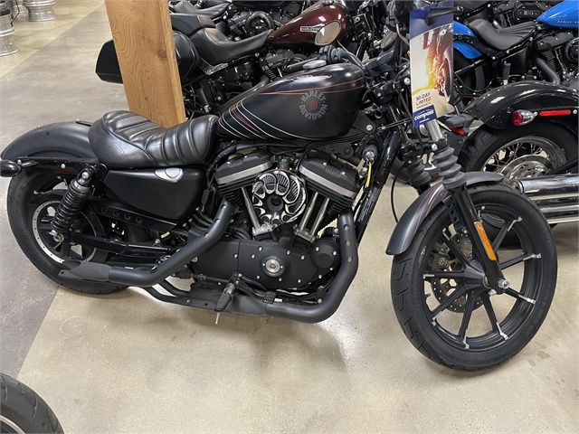 2020 Harley-Davidson Sportster Iron 883 at Got Gear Motorsports