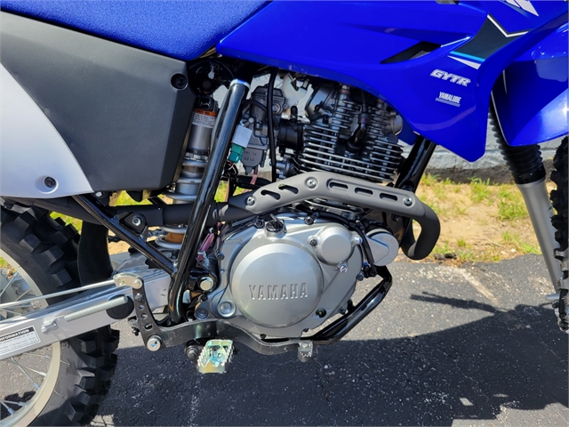 2023 Yamaha TT-R 230 at Powersports St. Augustine