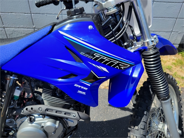 2023 Yamaha TT-R 230 at Powersports St. Augustine