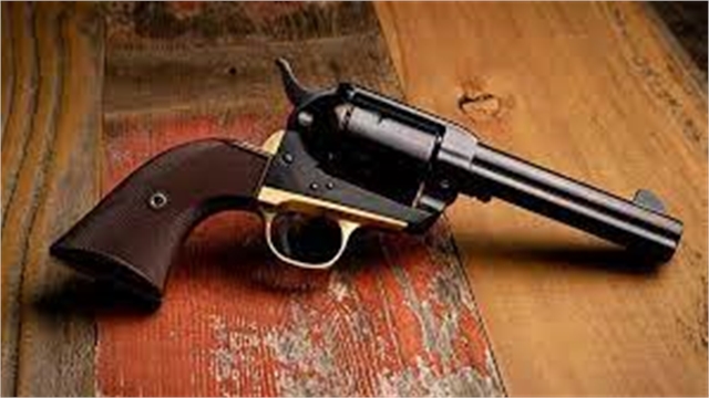 2021 Pietta Revolver at Harsh Outdoors, Eaton, CO 80615