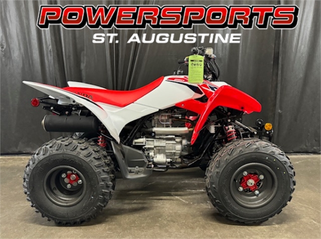 2024 Honda TRX 250X at Powersports St. Augustine