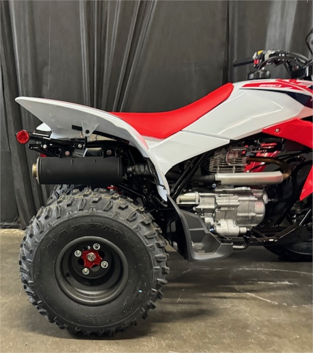 2024 Honda TRX 250X at Powersports St. Augustine