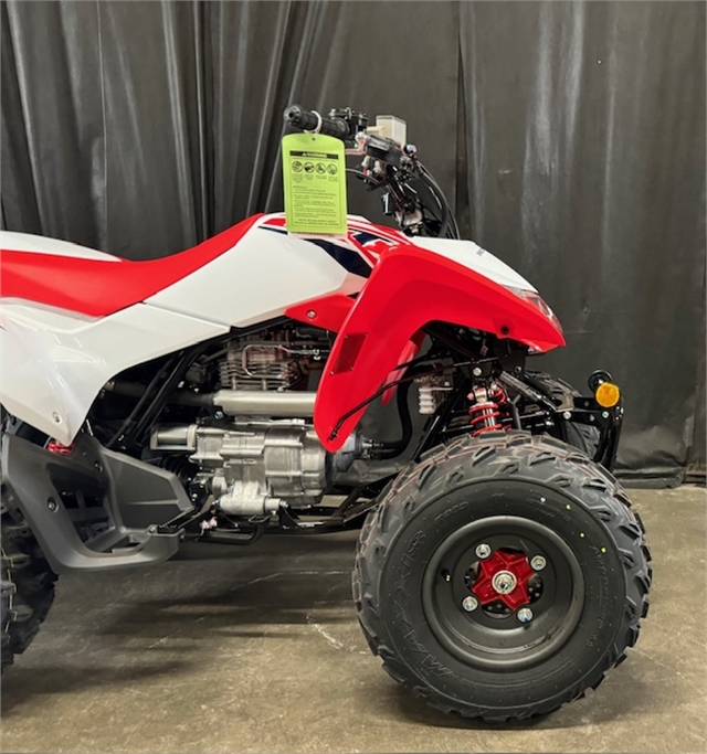 2024 Honda TRX 250X at Powersports St. Augustine