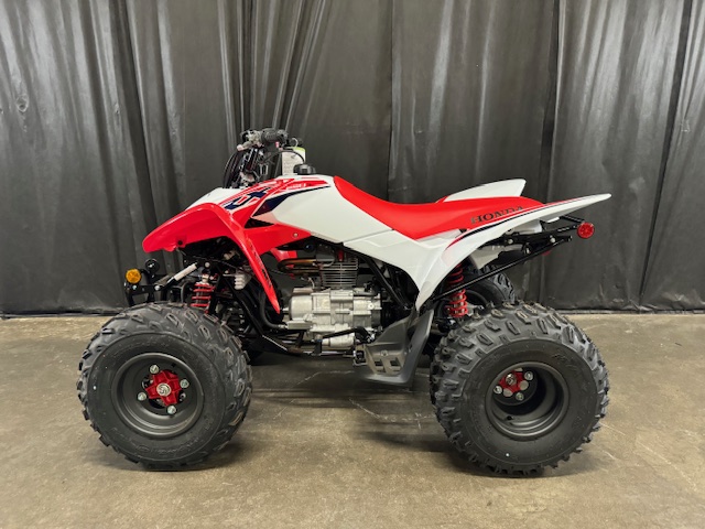 2024 Honda TRX 250X at Powersports St. Augustine