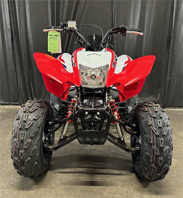 2024 Honda TRX 250X at Powersports St. Augustine