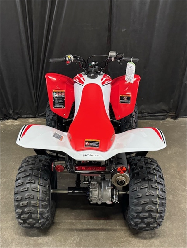 2024 Honda TRX 250X at Powersports St. Augustine