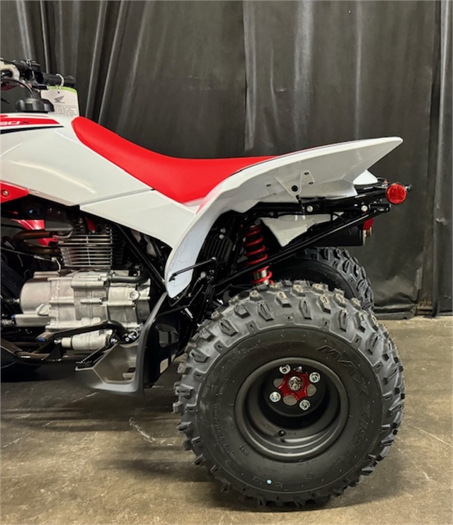 2024 Honda TRX 250X at Powersports St. Augustine