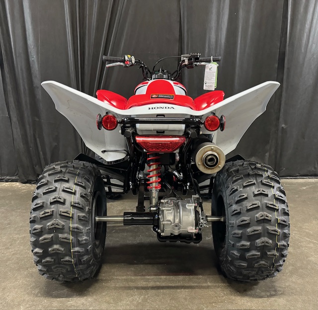 2024 Honda TRX 250X at Powersports St. Augustine