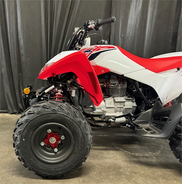 2024 Honda TRX 250X at Powersports St. Augustine