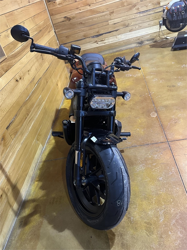 2024 Harley-Davidson Sportster at Thunder Road Harley-Davidson