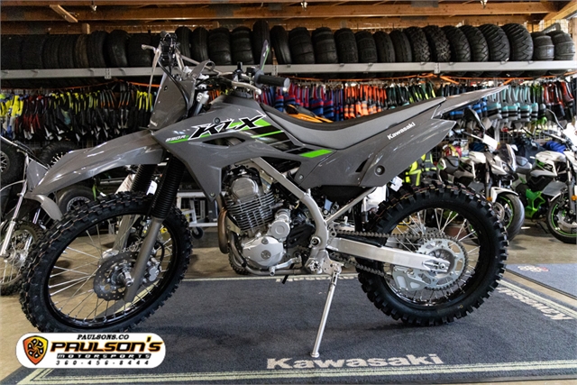 2025 Kawasaki KLX 230R S at Paulson's Motorsports