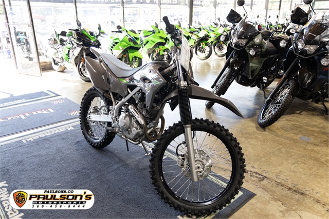 2025 Kawasaki KLX 230R S at Paulson's Motorsports