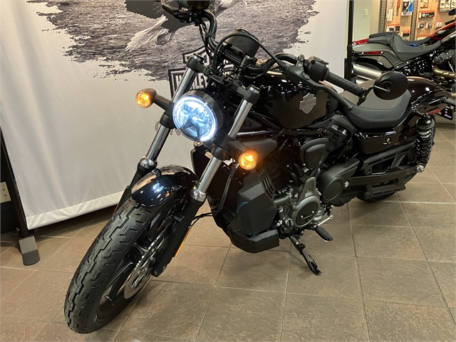 2024 Harley-Davidson Sportster Nightster at Great River Harley-Davidson
