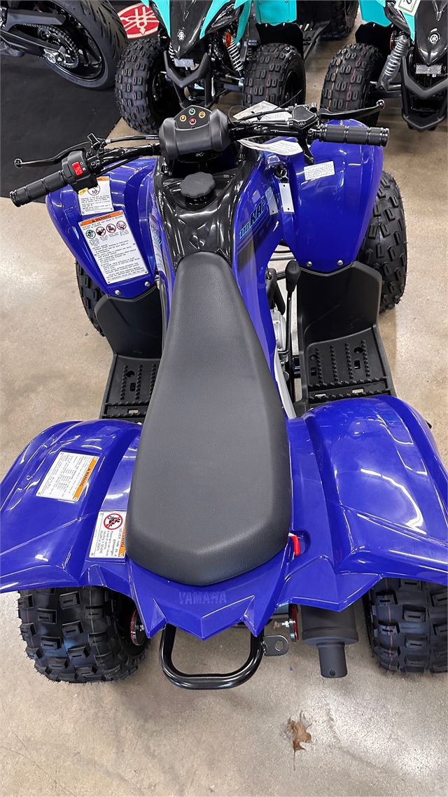 2025 Yamaha Raptor 110 at ATVs and More