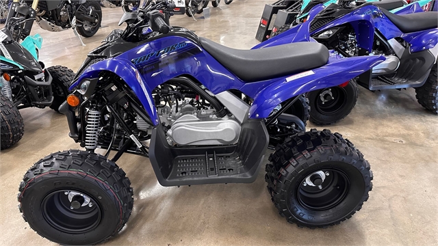 2025 Yamaha Raptor 110 at ATVs and More