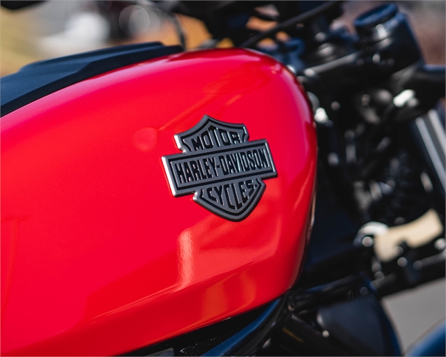 2023 Harley-Davidson Sportster Nightster at Speedway Harley-Davidson