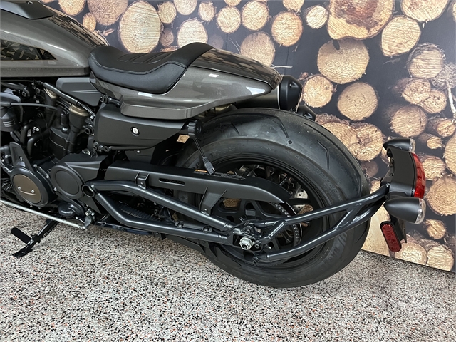 2023 Harley-Davidson Sportster at Northwoods Harley-Davidson