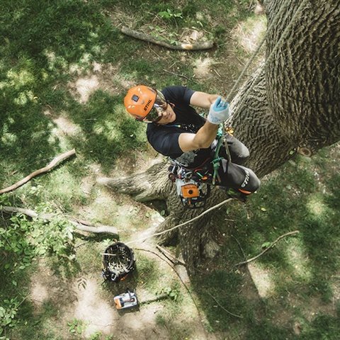 2024 STIHL MS194T/14 at McKinney Outdoor Superstore