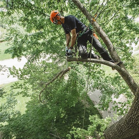 2024 STIHL MS194T/14 at McKinney Outdoor Superstore