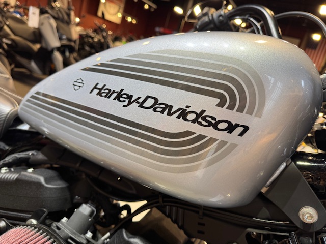 2020 Harley-Davidson Sportster Iron 1200 at Martin Moto