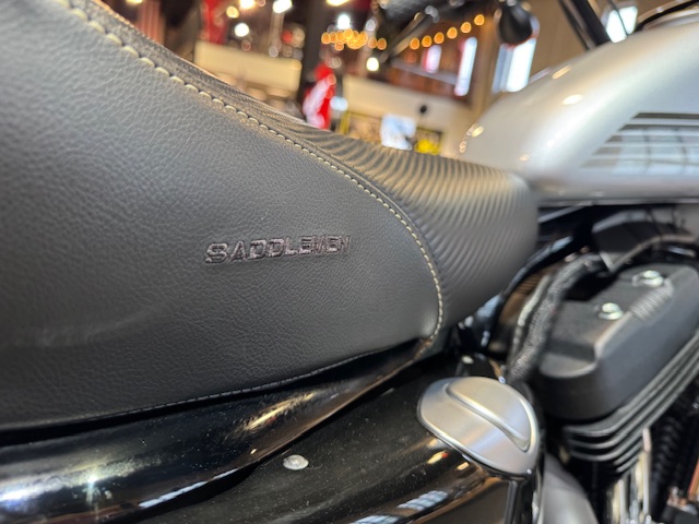 2020 Harley-Davidson Sportster Iron 1200 at Martin Moto